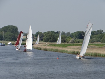 acle_regatta.jpg